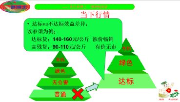 撫松縣人參產(chǎn)業(yè)重大技術(shù)協(xié)同推廣項目培訓(xùn)會正式開講