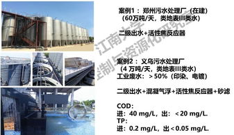 江南大學(xué)李激教授解析 新一輪污水處理廠提標(biāo)改造達(dá)標(biāo)技術(shù)路線及軟件開發(fā)對(duì)策